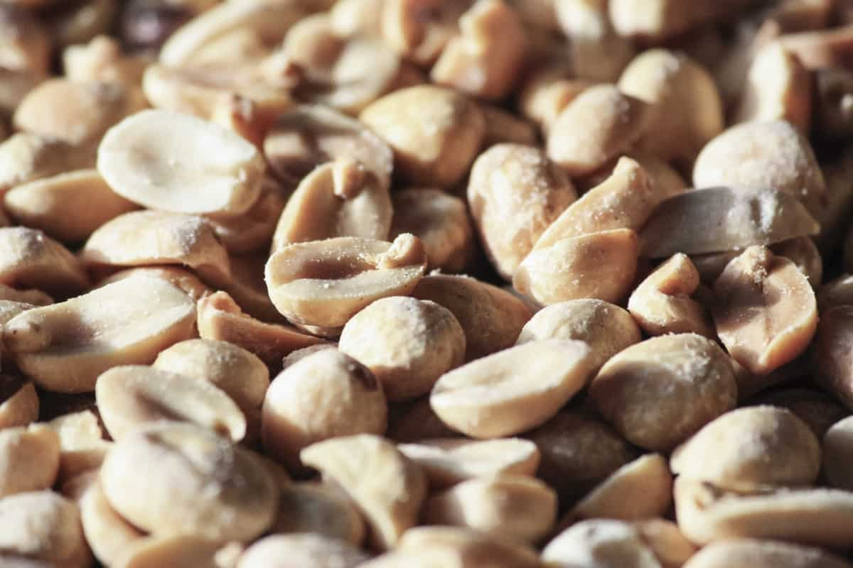  unsalted peanuts/Price and purchase types of unsalted peanuts 