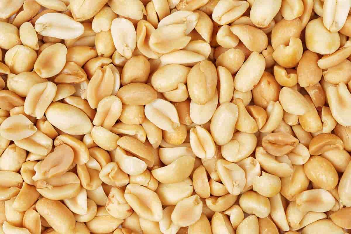  unsalted peanuts/Price and purchase types of unsalted peanuts 