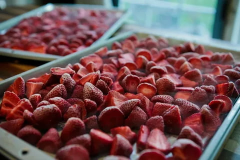  Price and purchase of dried strawberries+Cheap sale 