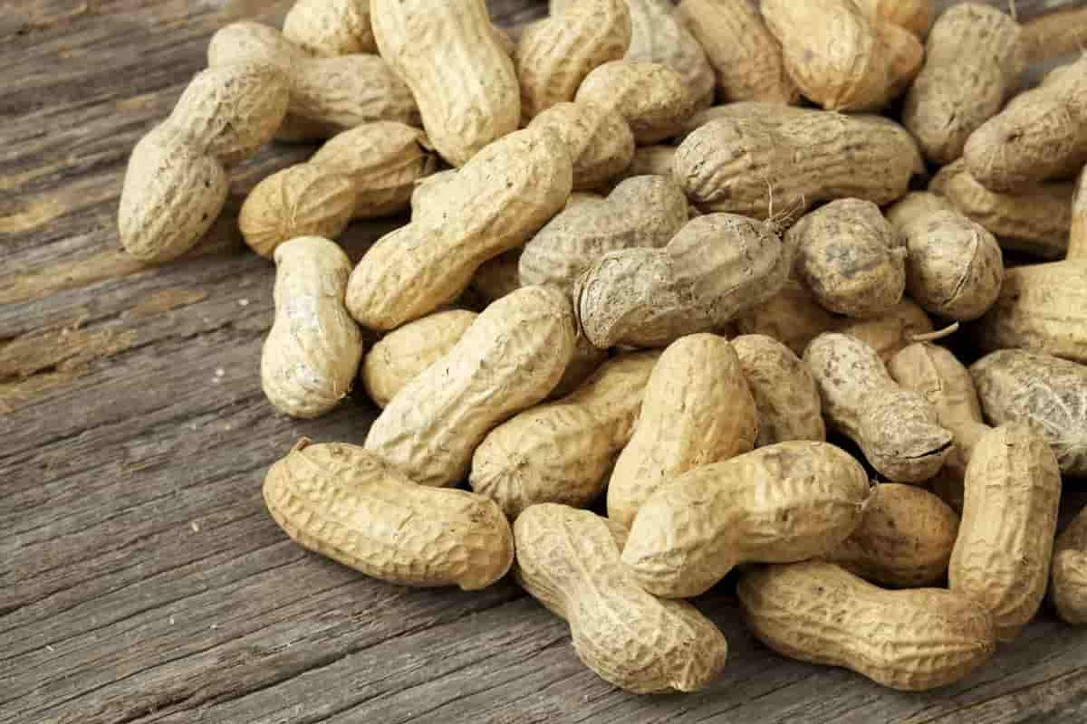  The purchase price of roasted peanuts in shell+Sales in trade and export 