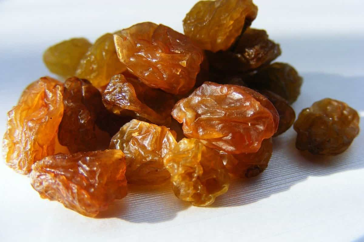  price of sultanas raisins+Buy and sell sultanas raisins with wholesale quality 