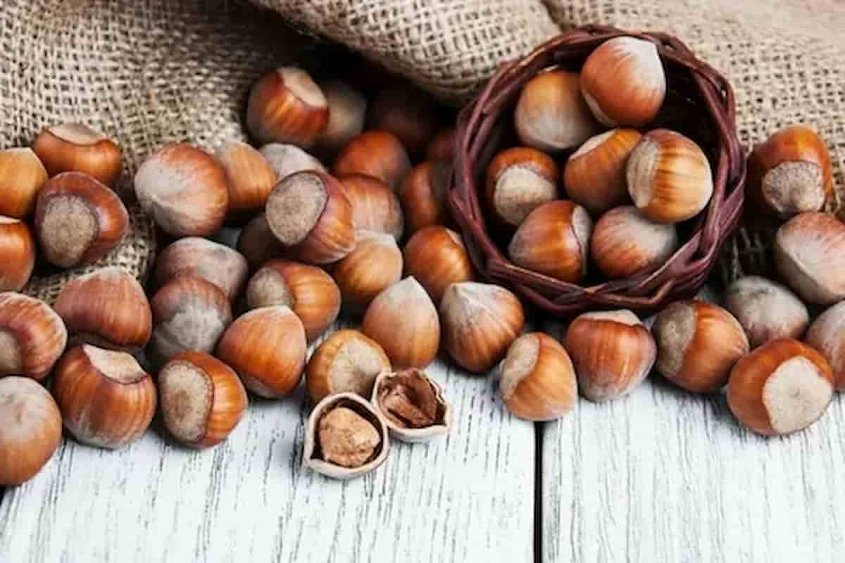  hazelnut kernels price how we can find best? 