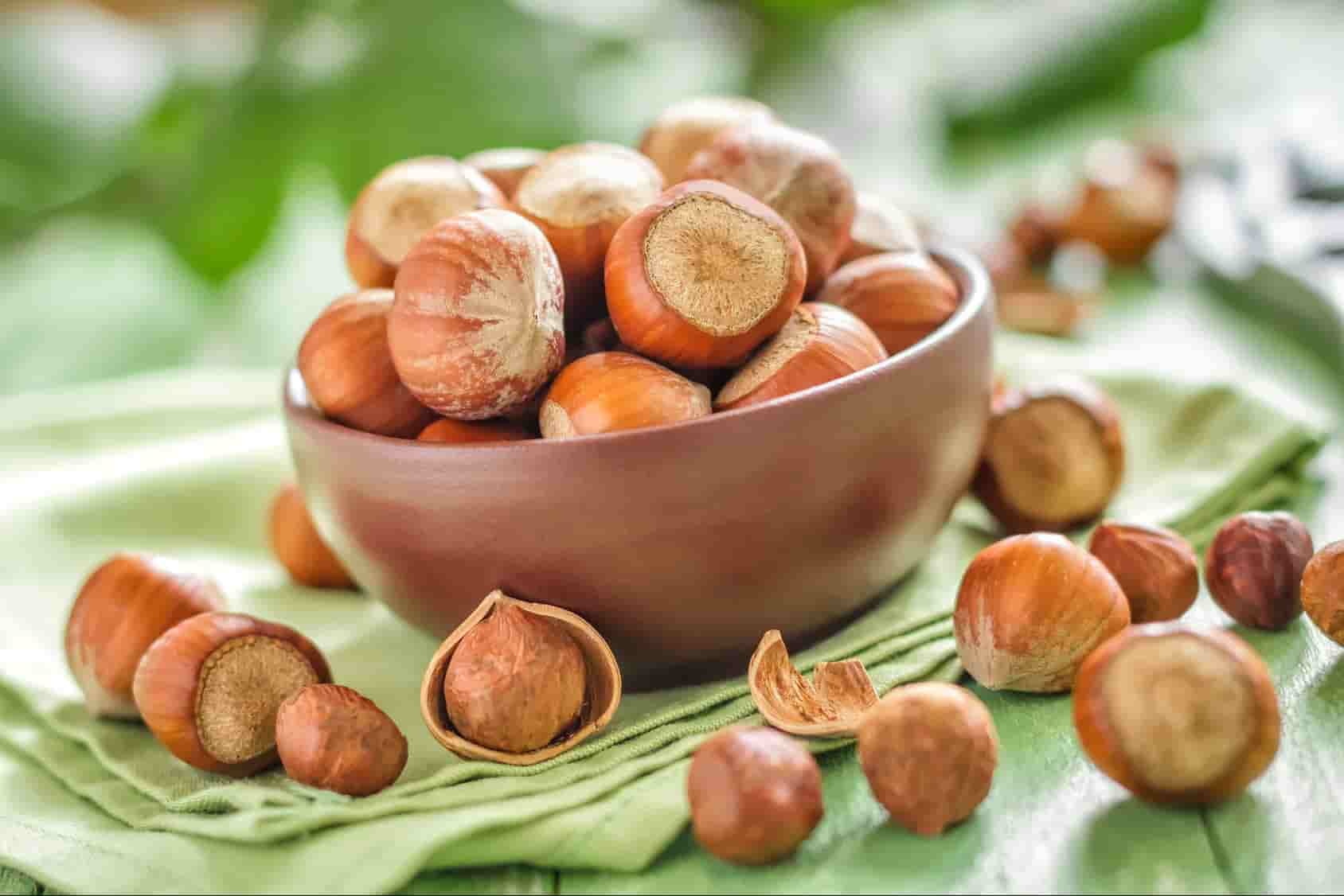  Hazelnut Kernels Fruit Price + Wholesale and Cheap Packing Specifications 