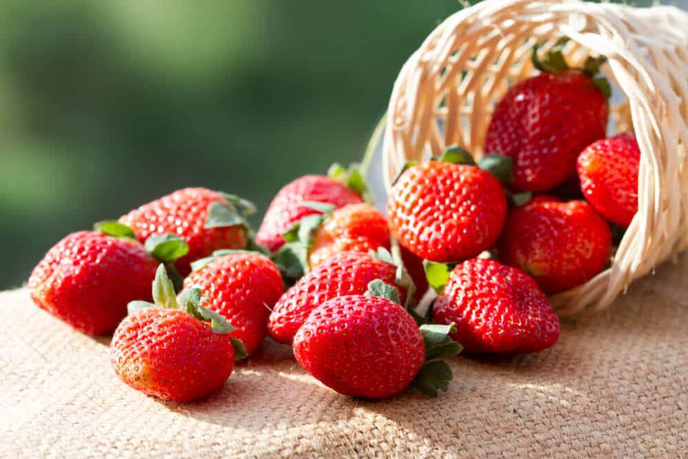  Buy the latest types of dried organic strawberrries 