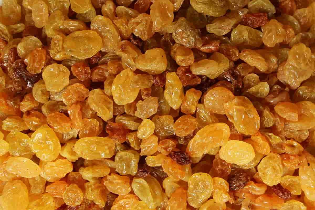  What is the best golden raisins? 