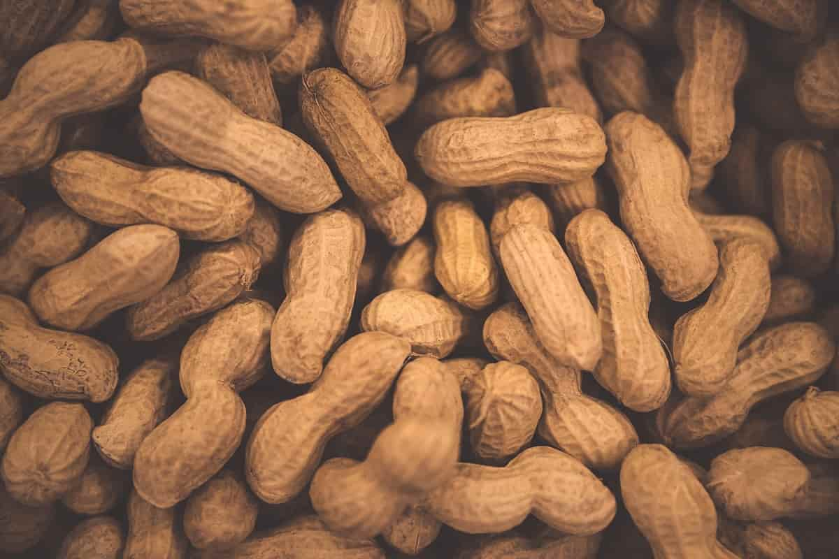  Buying blancehed peanut types with the best price 